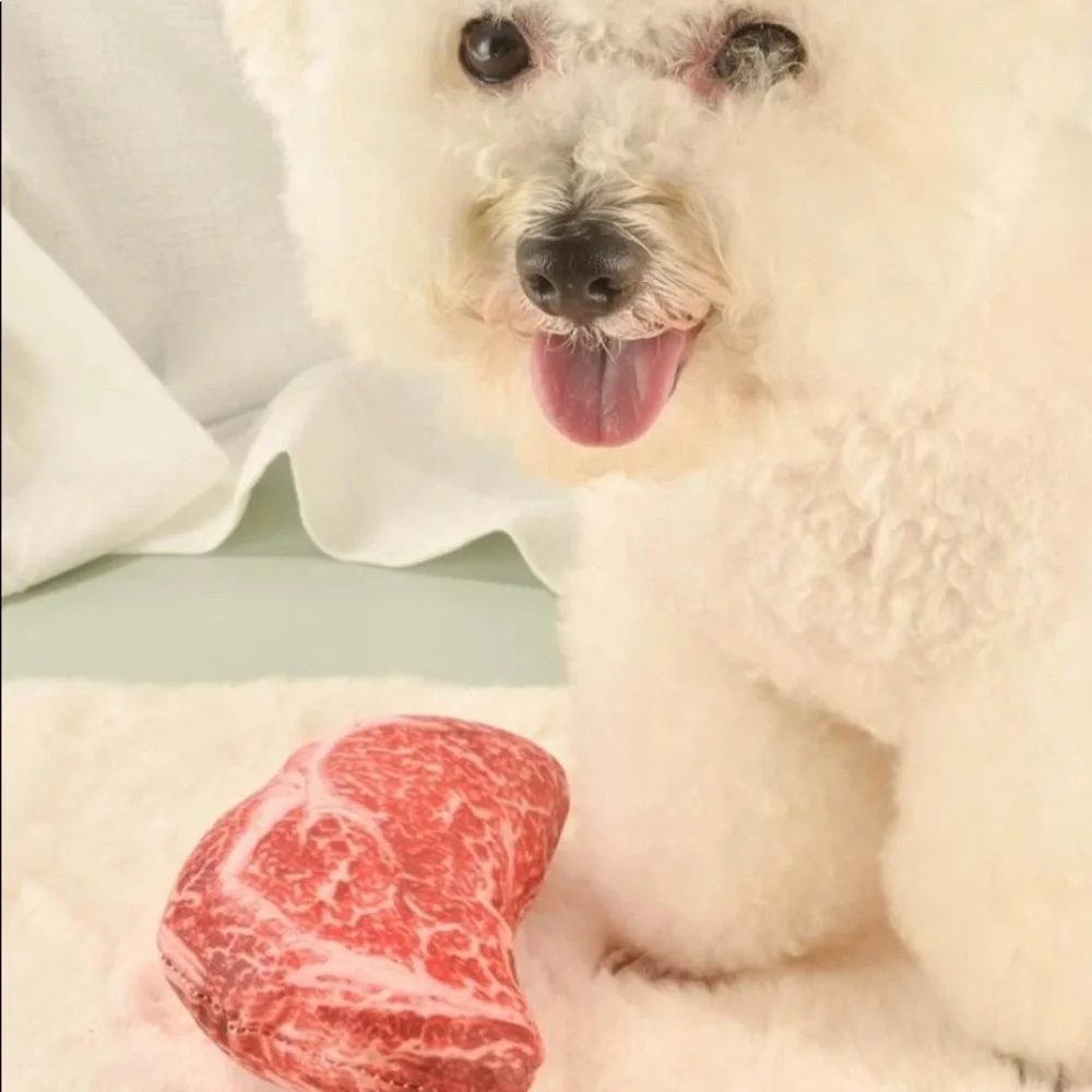 {NEW} Steak Design Dog Toy Red Light Chewers